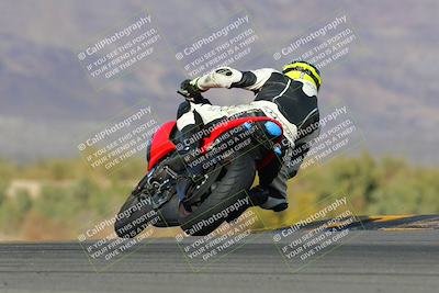 media/Feb-04-2023-SoCal Trackdays (Sat) [[8a776bf2c3]]/Turn 9 Backside (145pm)/